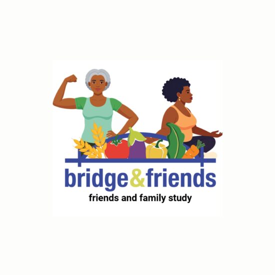 BRIDGE & Friends logo